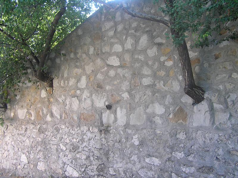 P8260536.JPG - Obezděné stromy