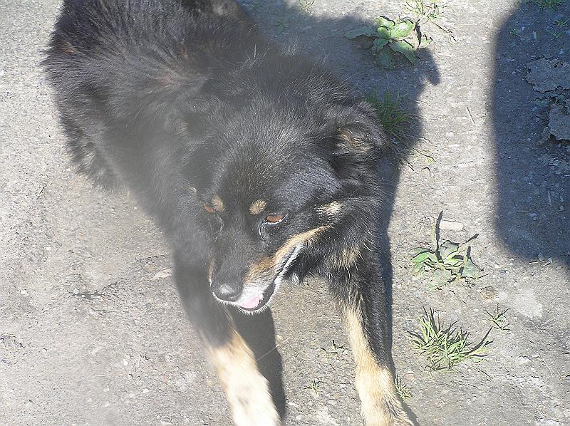 P8170058.JPG - Celou noc nás hlídal