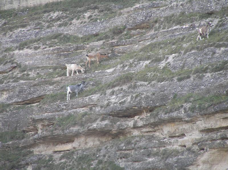 P8200157.JPG - Akrobatky v detailu