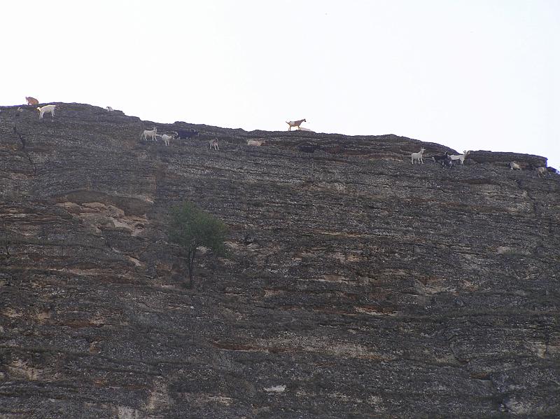 P8200162.JPG - Kozy - vrcholové foto