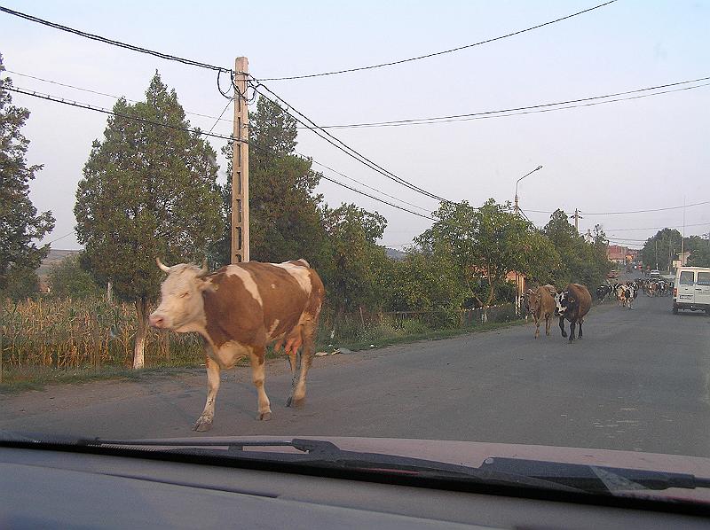 P8270489.JPG - Evropská unie v rumunském pojetí